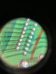 IMG_8844.jpeg